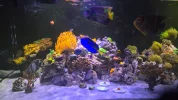20260617_171944.webp