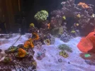 IMG_1473.webp