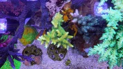 20260704_184212.webp