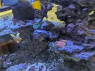 1000009622.webp
