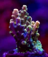 _JAM1083-Edit.webp