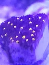 20260720_211041.webp