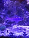 20260625_191939.webp