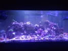 20260809_192534.webp