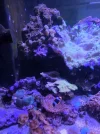 20260619_202954.webp