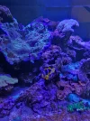20260619_202957.webp