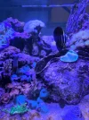 20260619_202959.webp