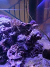 20260619_203005.webp