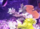 20260807_111117.webp