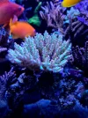 20260824_222541.webp