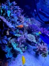 20260824_222853.webp
