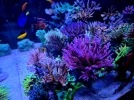 20260824_222824.webp