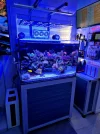 20260824_183248.webp