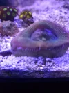 20260826_135948.webp