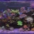 Oceanite